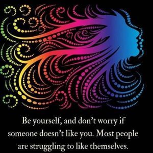 Meet your Posher, Laini